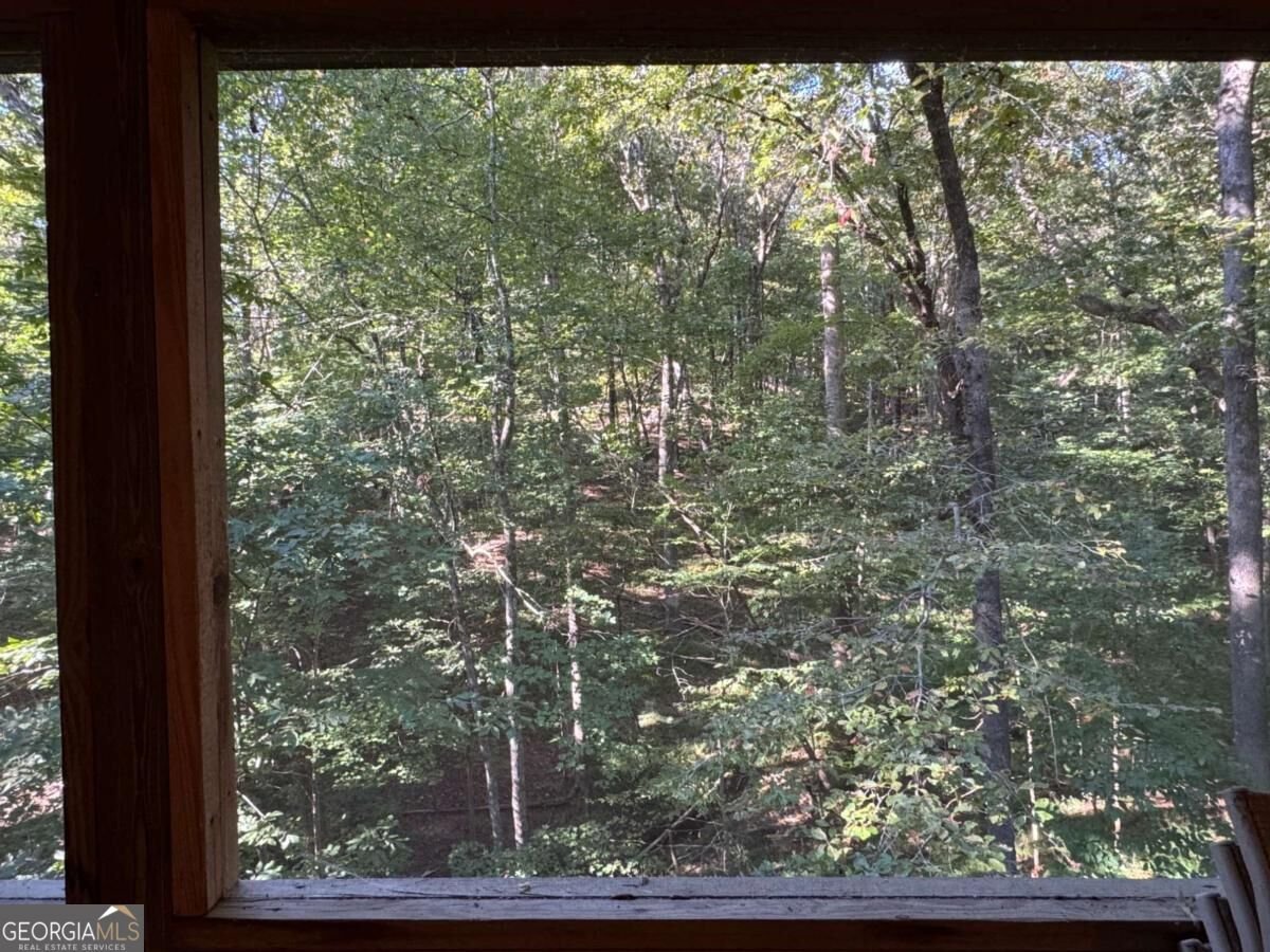 7 Citron Court Ellijay - Photo 25