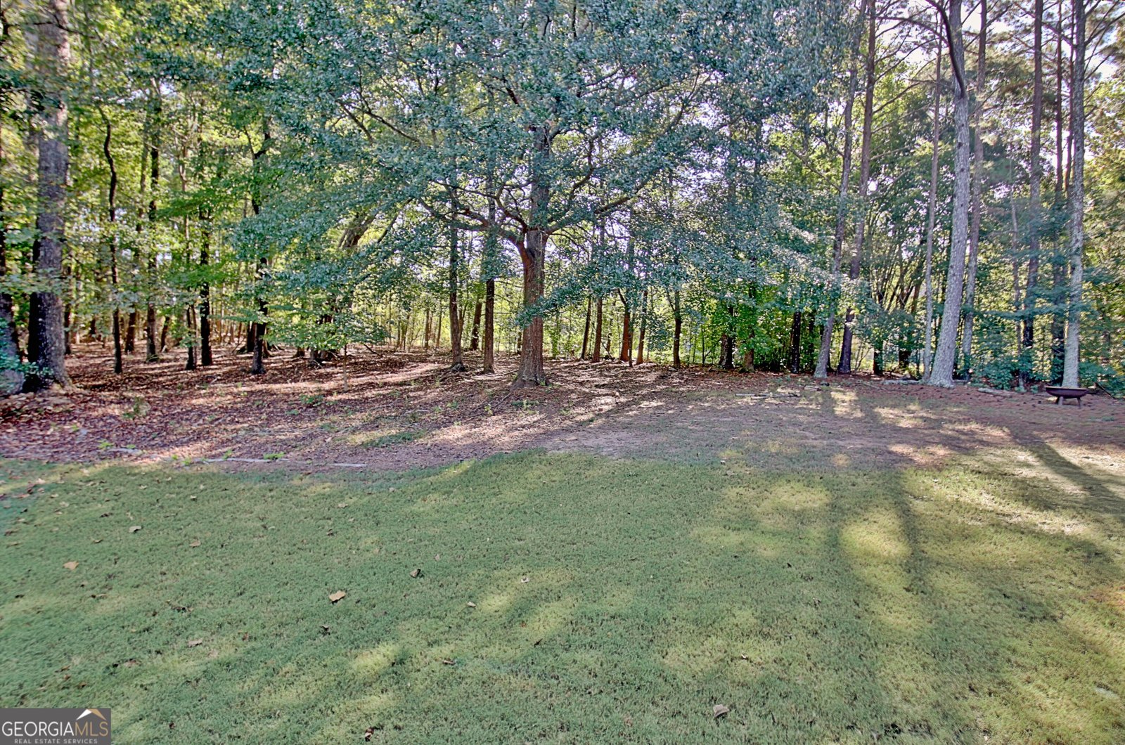 125 Hedgewick Way Tyrone - Photo 102