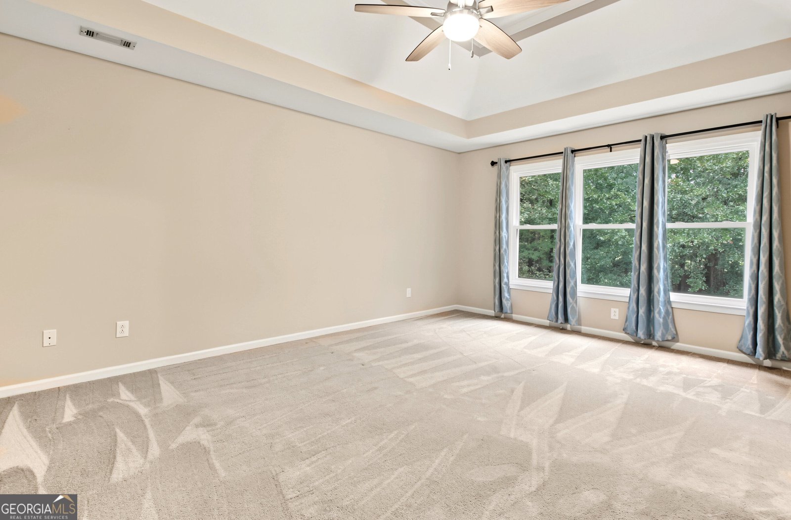 125 Hedgewick Way Tyrone - Photo 52