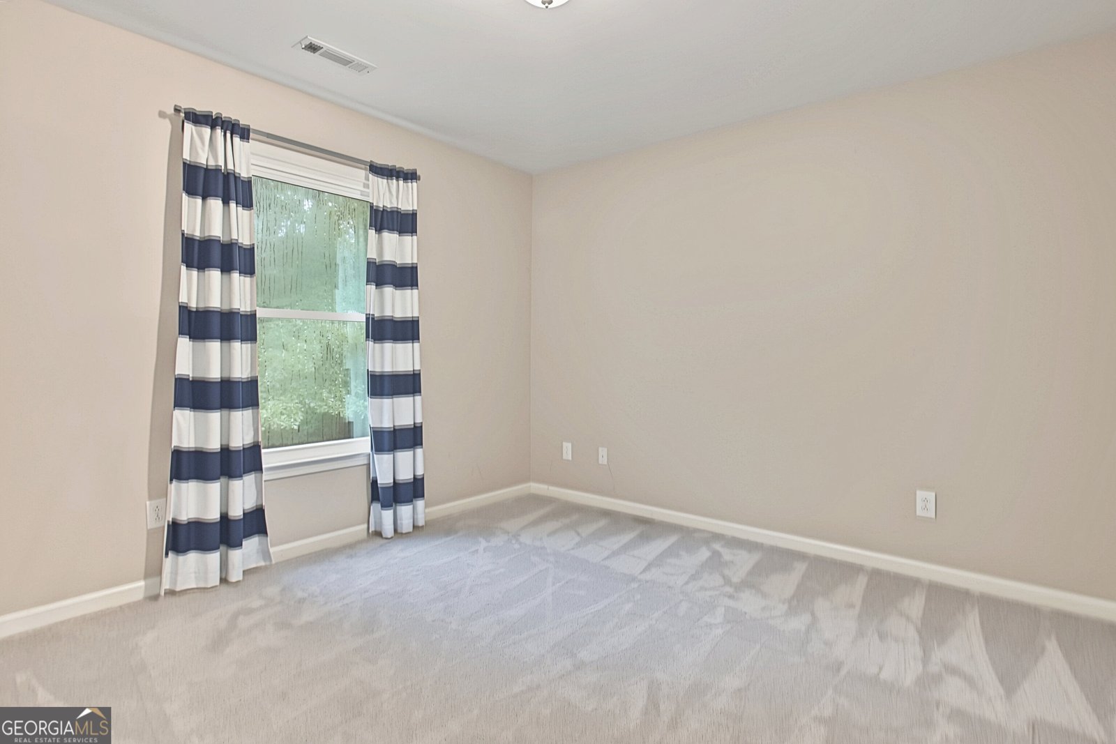 125 Hedgewick Way Tyrone - Photo 73