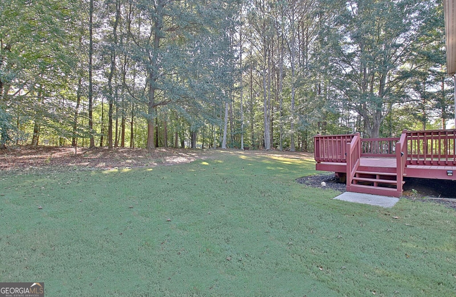 125 Hedgewick Way Tyrone - Photo 98