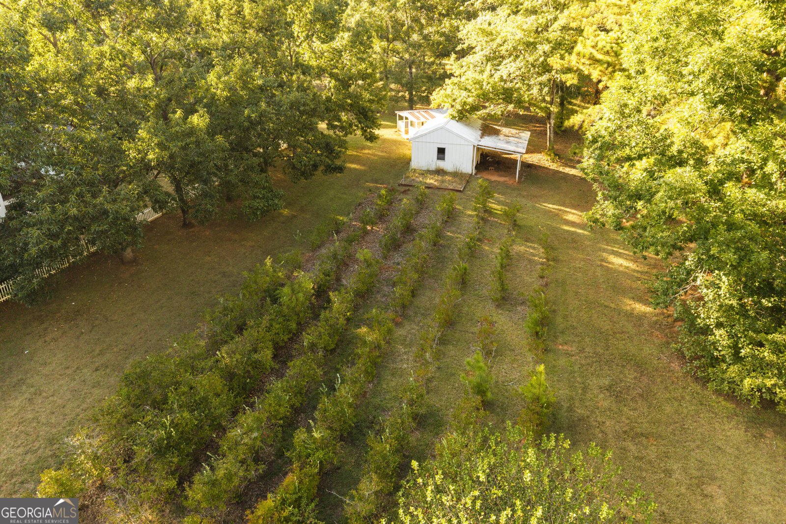 1650 Pierce Dairy Road Madison - Photo 124