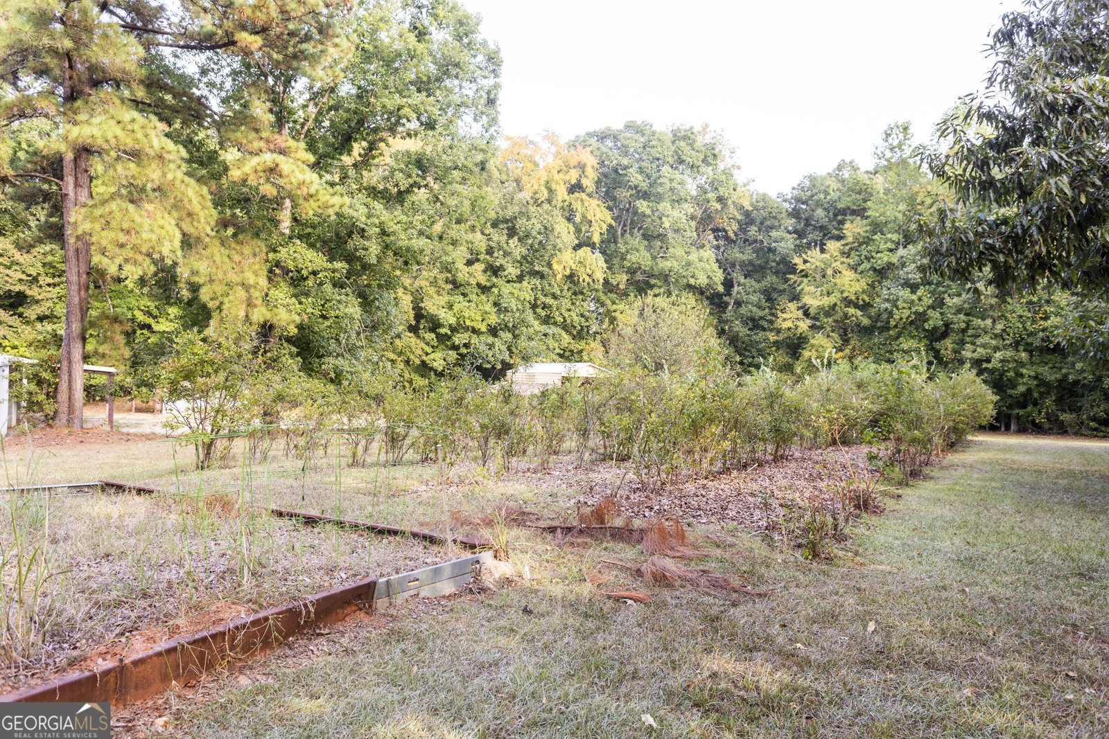1650 Pierce Dairy Road Madison - Photo 78