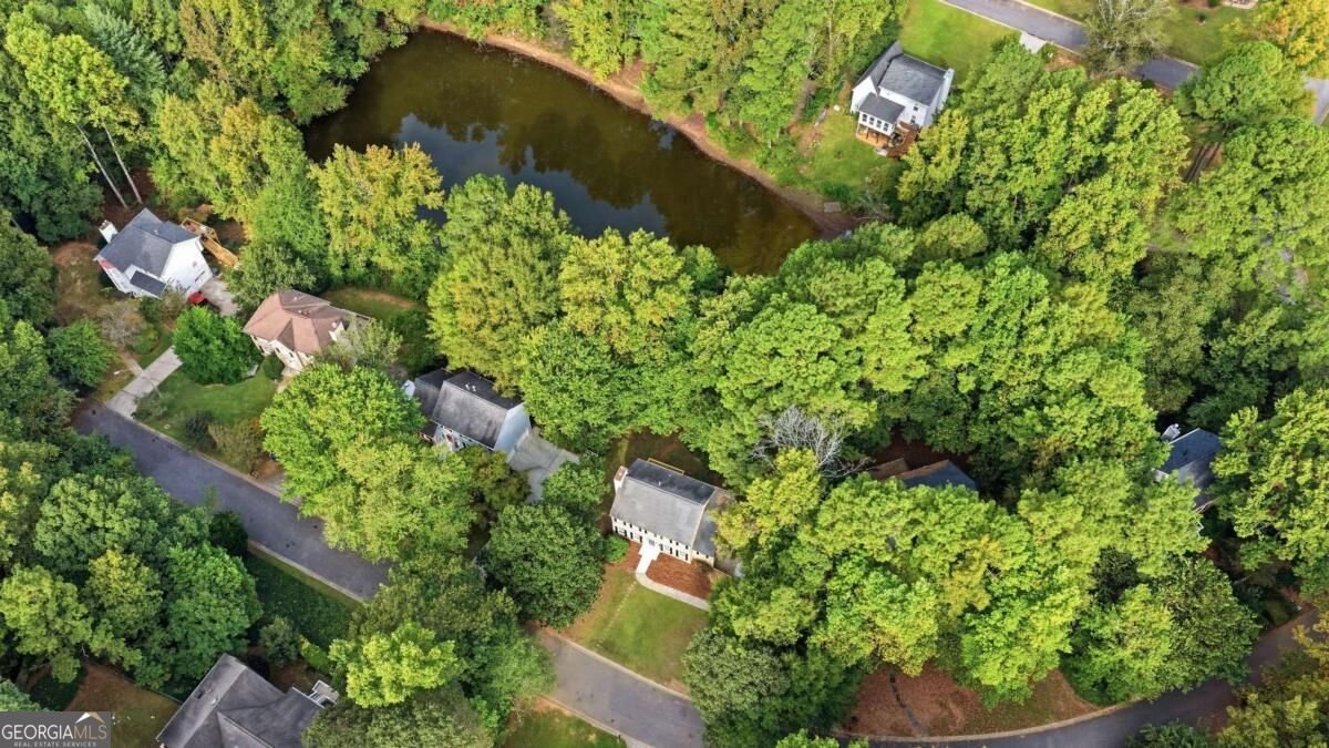 2706 Lillie Lake Drive Marietta - Photo 60