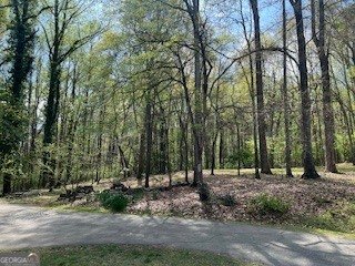 1310 Ivywood Drive Athens - Photo 55