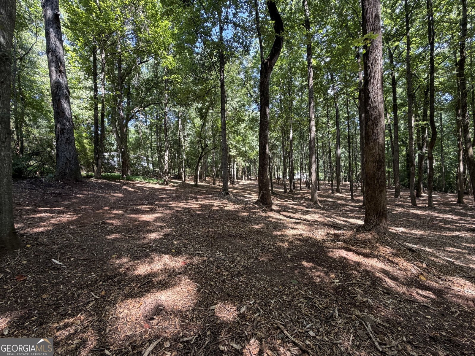 1310 Ivywood Drive Athens - Photo 66