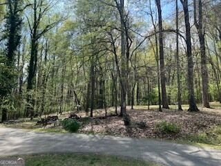 1310 Ivywood Drive Athens - Photo 69