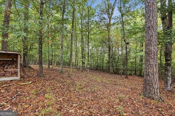 1341 Riverhill Drive Bishop - Photo 45