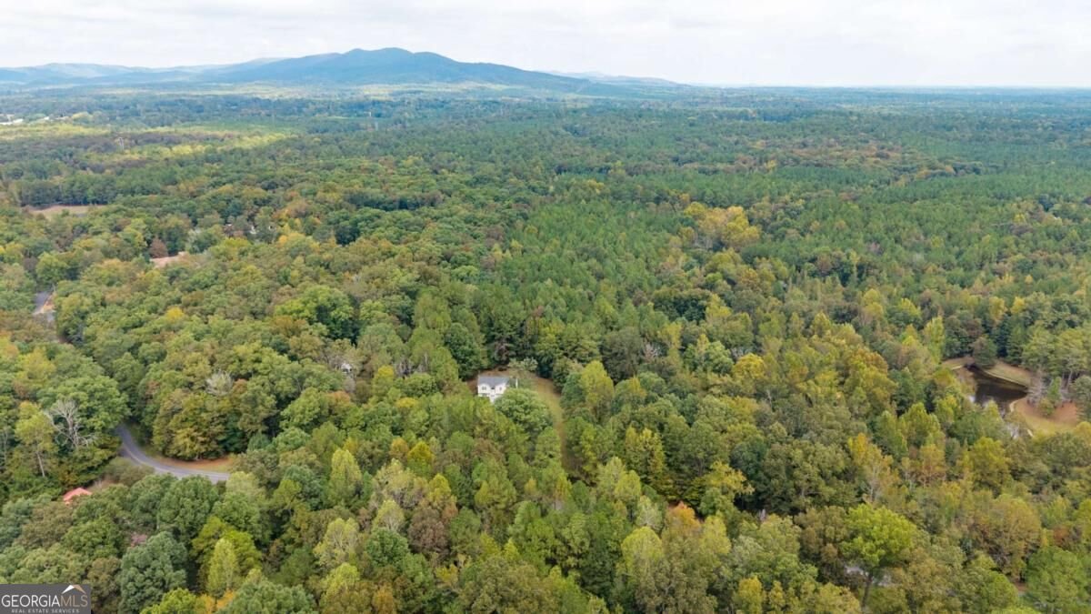 309 Russell Hill Estates Drive Sugar Valley - Photo 38