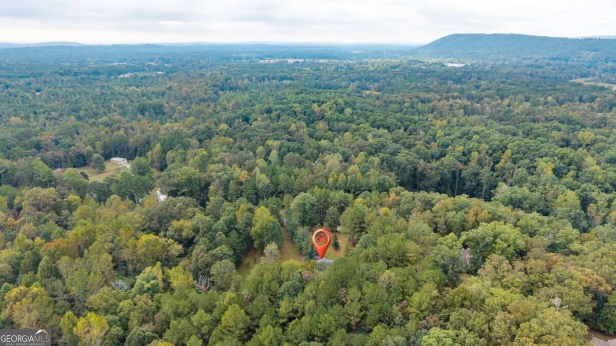 309 Russell Hill Estates Drive Sugar Valley - Photo 40