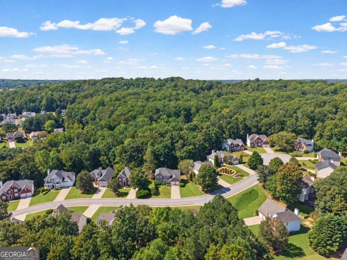 5424 Trumpet Vine Trail Mableton - Photo 59