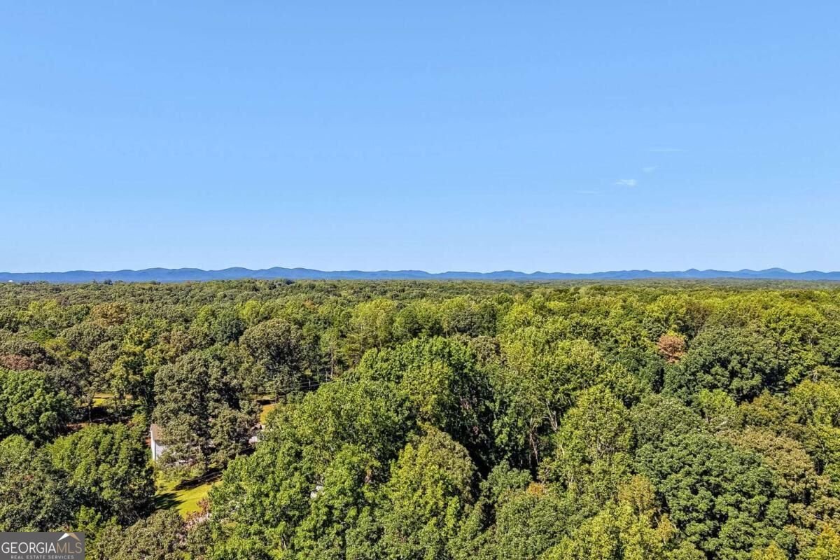 84 Timber Walk Dawsonville - Photo 34