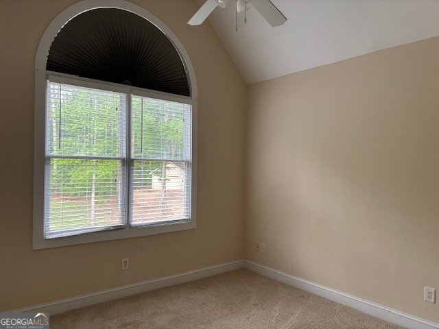 134 Sam Solomon Road Locust Grove - Photo 59
