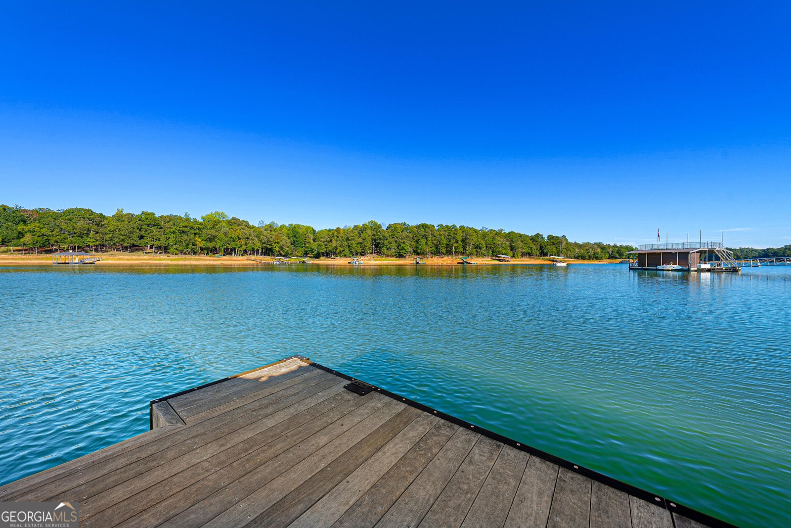 601 Early Drive Hartwell - Photo 62