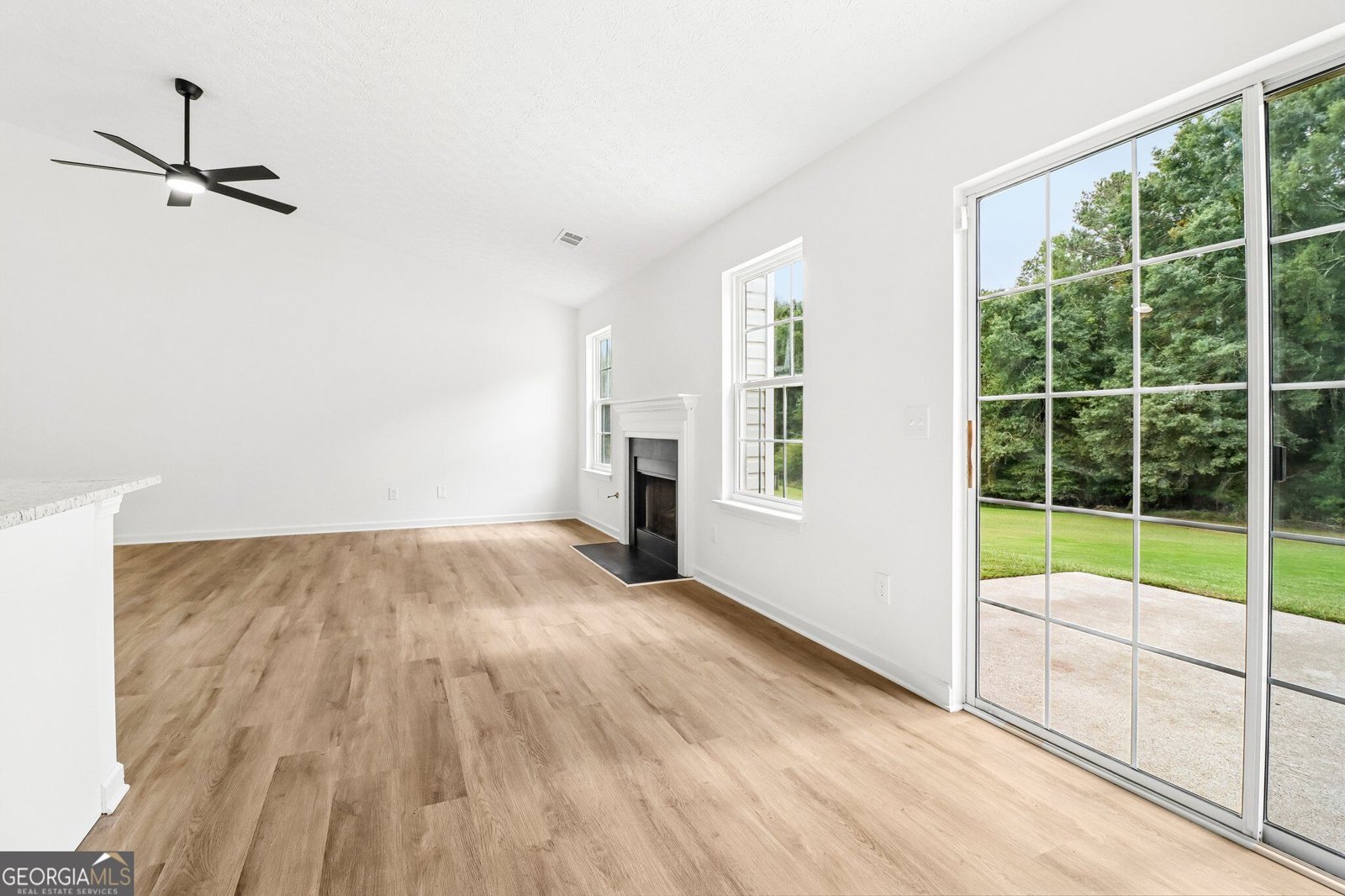 8435 River Hill Commons Drive Ball Ground - Photo 20