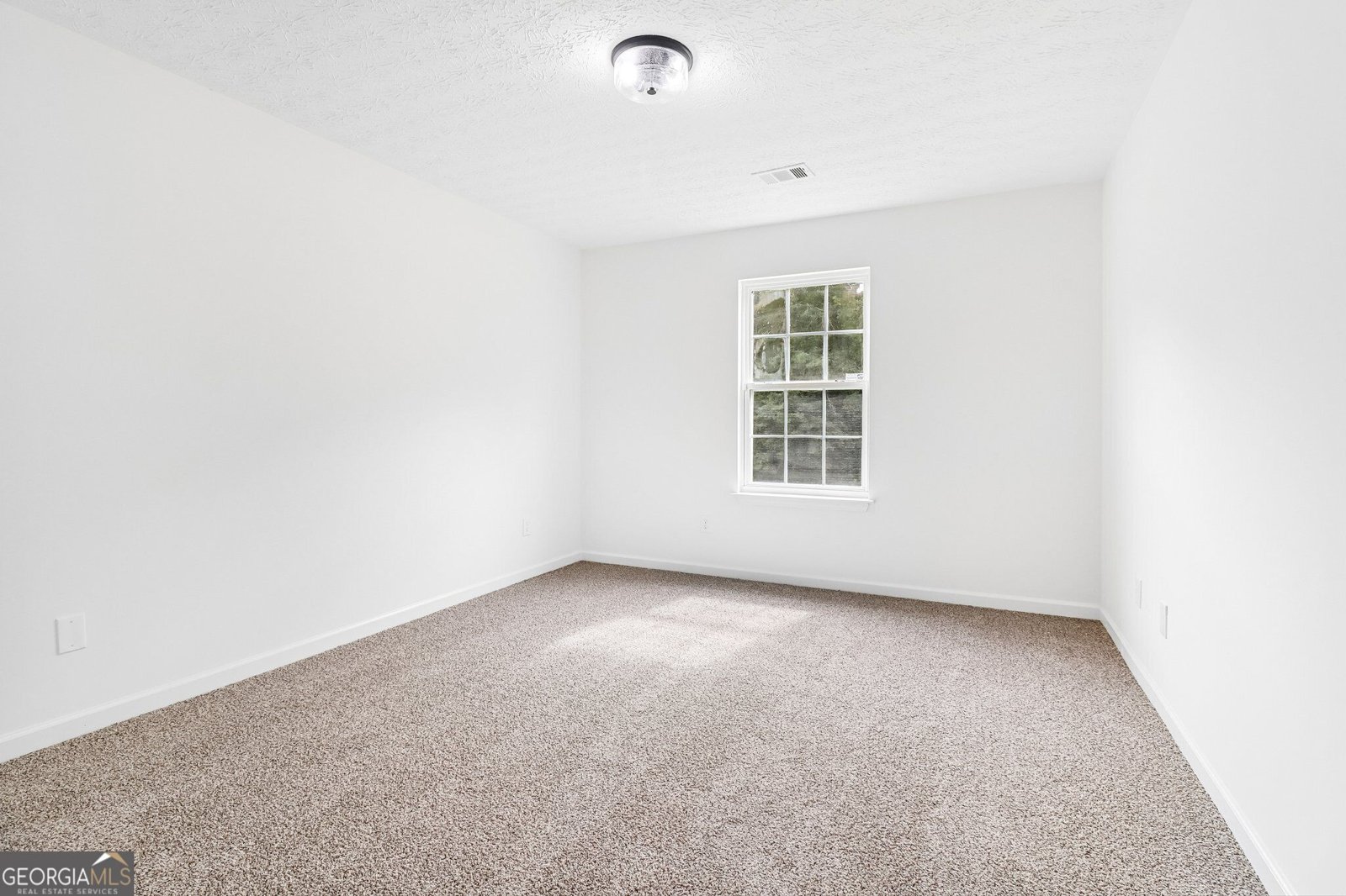 8435 River Hill Commons Drive Ball Ground - Photo 34