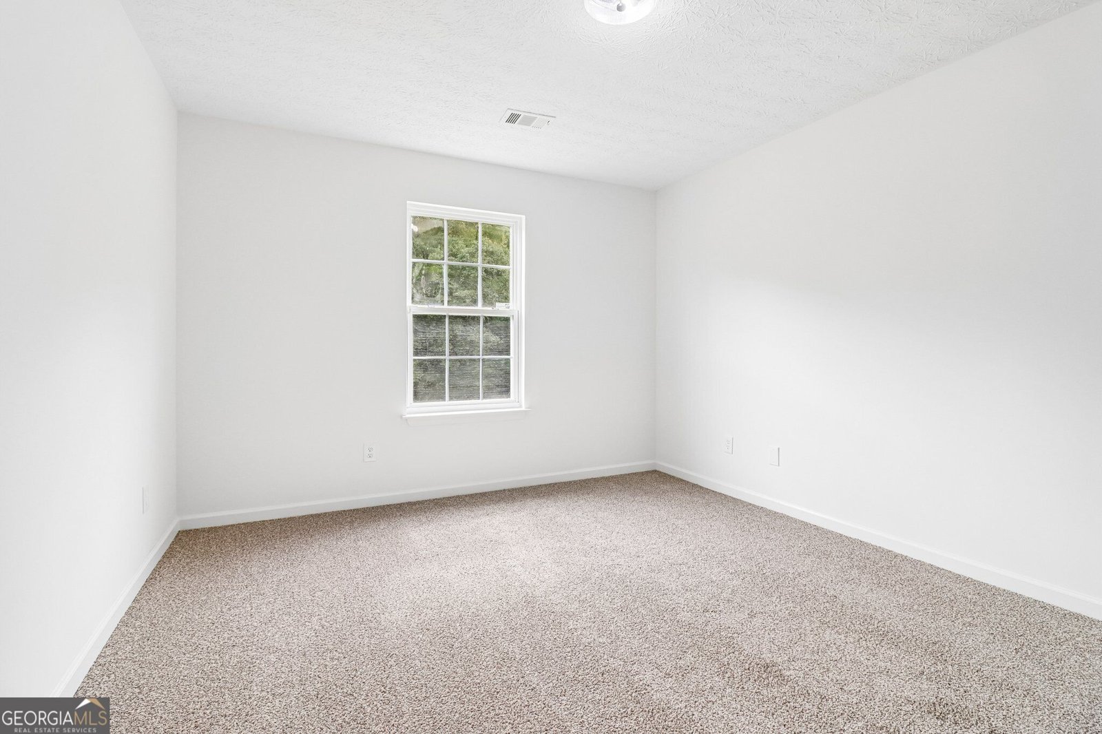 8435 River Hill Commons Drive Ball Ground - Photo 35