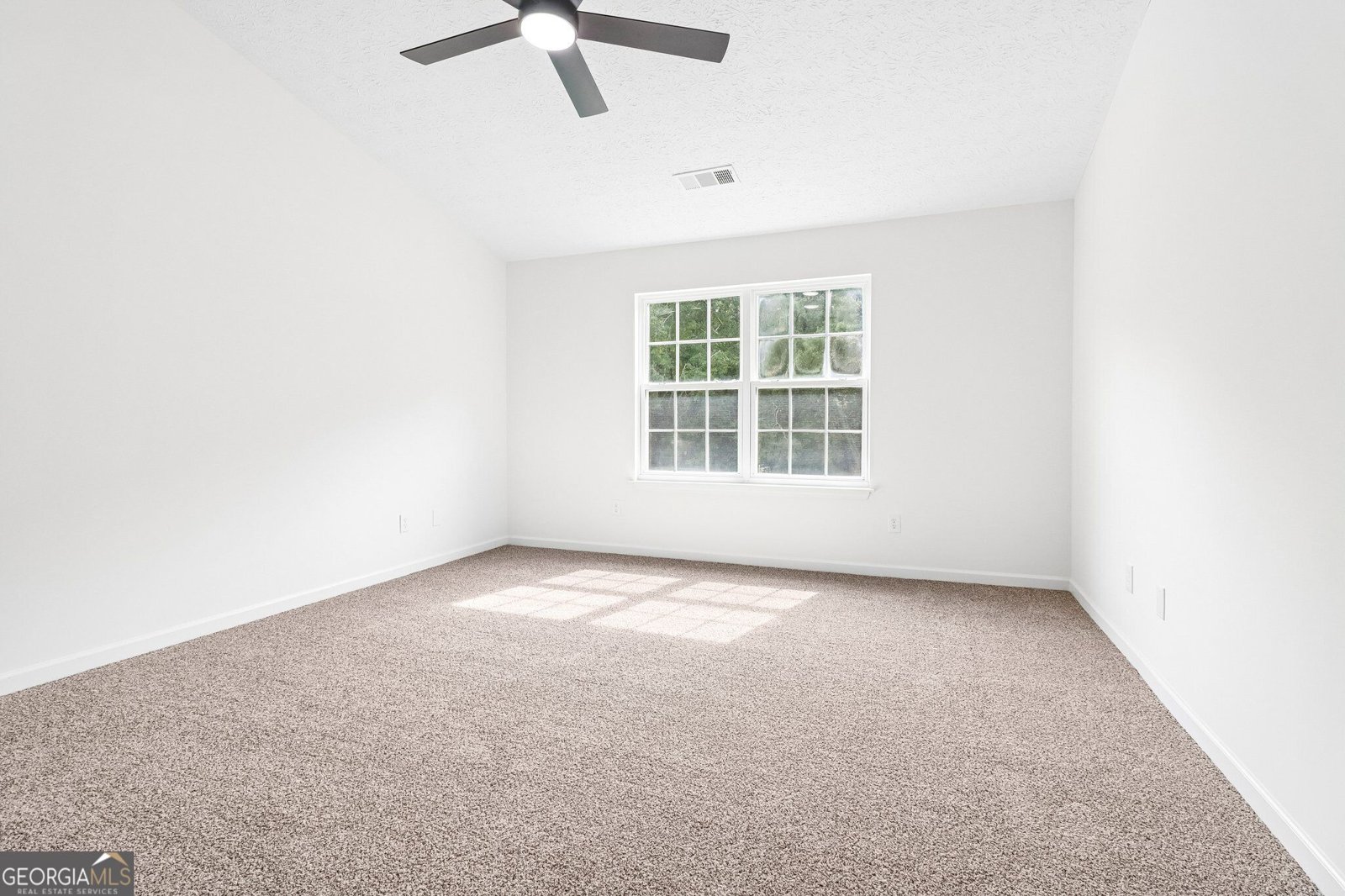 8435 River Hill Commons Drive Ball Ground - Photo 41