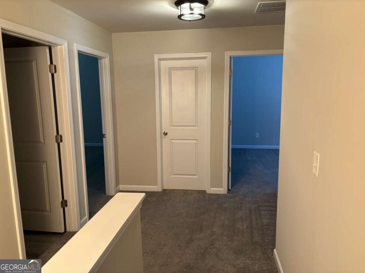 212 Long Drive Mcdonough - Photo 17