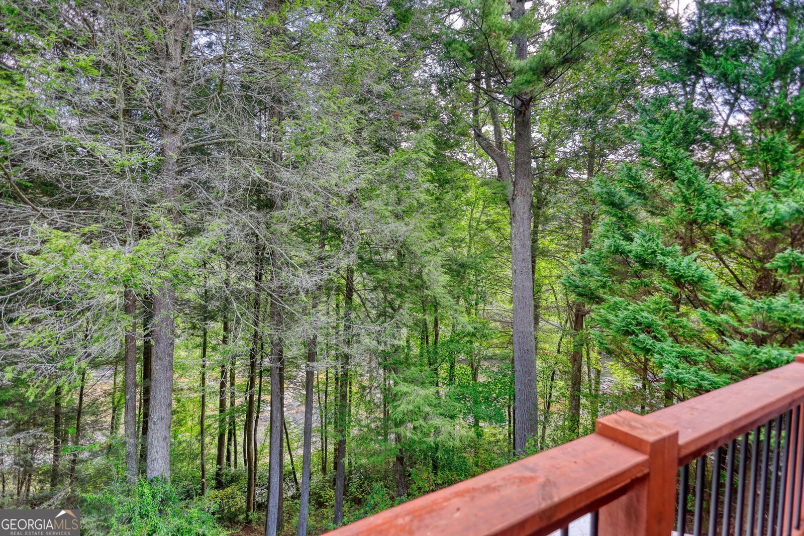 450 Flat Creek Circle Blue Ridge - Photo 63