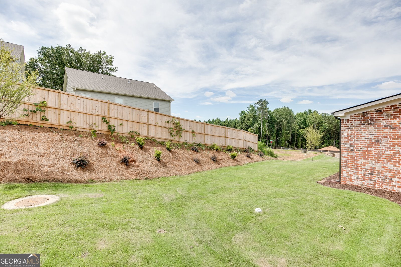 1813 Piney Bend Drive Buford - Photo 52