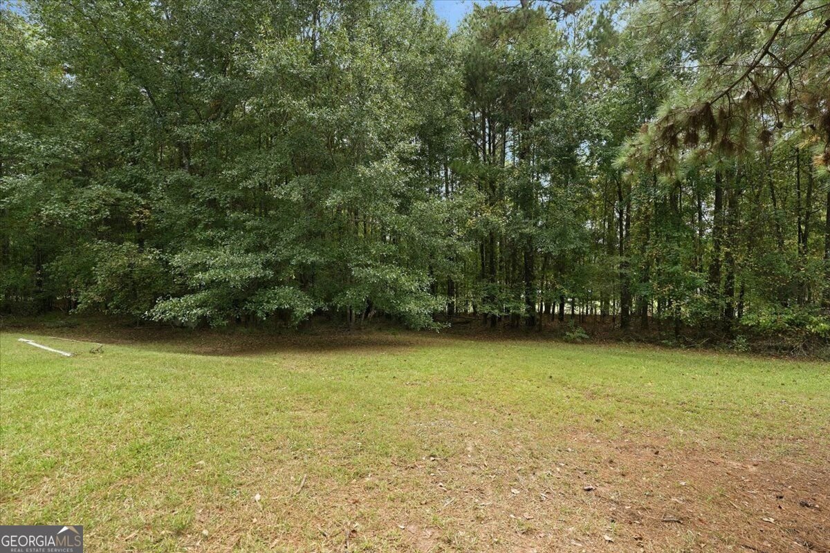312 Blounts Chapel Road Haddock - Photo 22