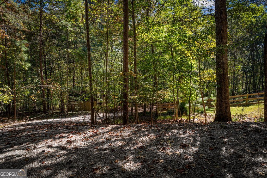 111 Windy Valley SPUR Blue Ridge - Photo 108