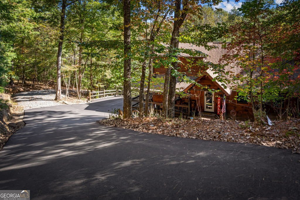 111 Windy Valley SPUR Blue Ridge - Photo 109