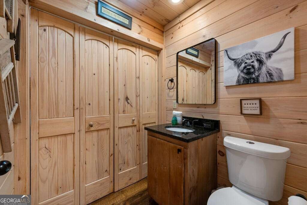 111 Windy Valley SPUR Blue Ridge - Photo 42