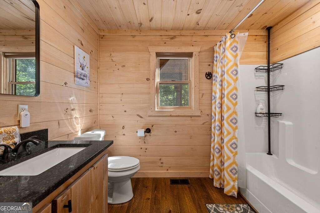 111 Windy Valley SPUR Blue Ridge - Photo 48
