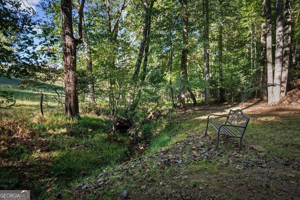 111 Windy Valley SPUR Blue Ridge - Photo 6