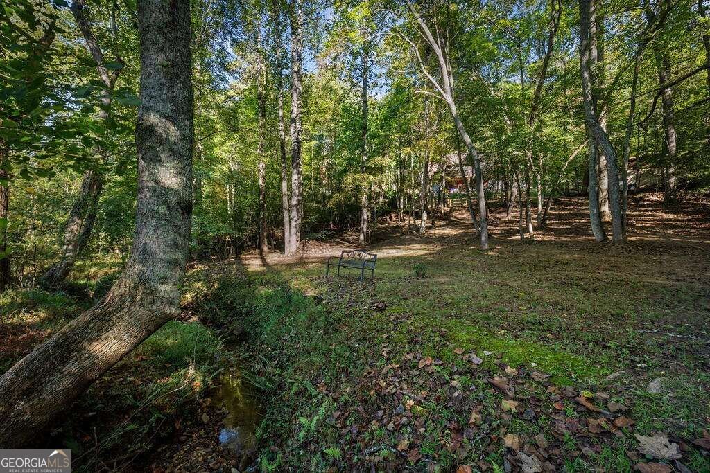 111 Windy Valley SPUR Blue Ridge - Photo 95