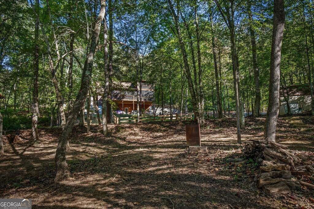 111 Windy Valley SPUR Blue Ridge - Photo 98