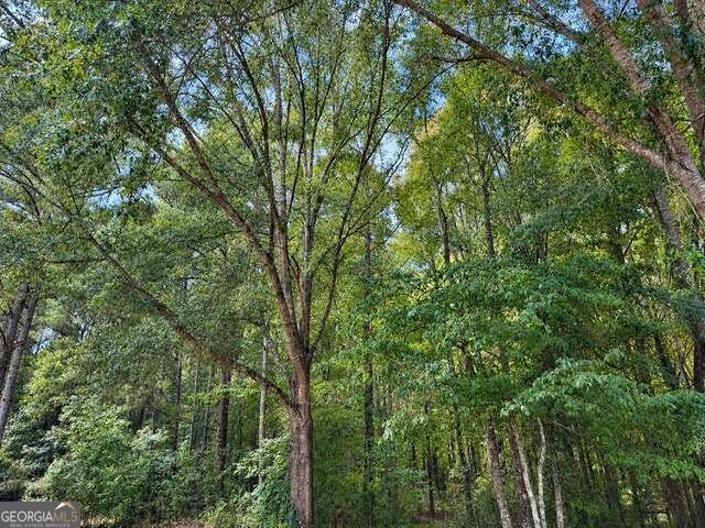 1410 Al Roberts Road Senoia - Photo 6