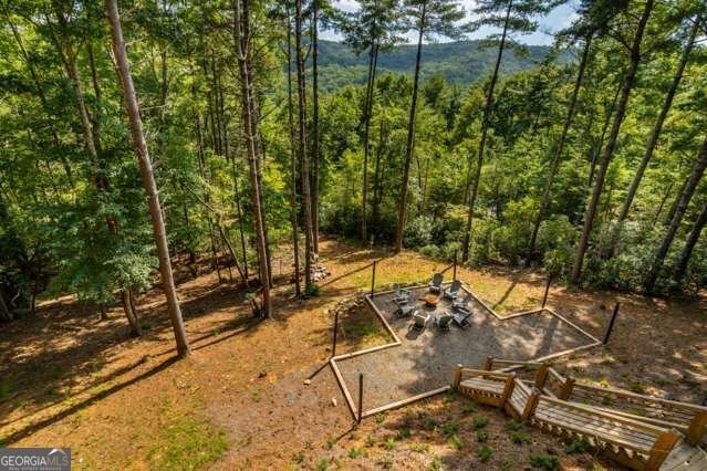 58 Papa Bear Path Blue Ridge - Photo 12