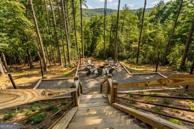 58 Papa Bear Path Blue Ridge - Photo 50