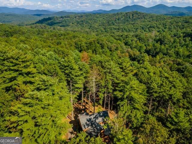 58 Papa Bear Path Blue Ridge - Photo 66