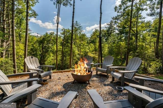 58 Papa Bear Path Blue Ridge - Photo 9