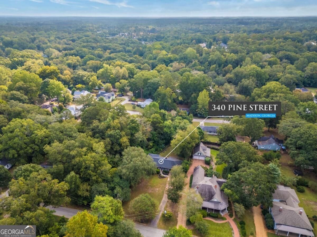 340 Pine Street Madison - Photo 45