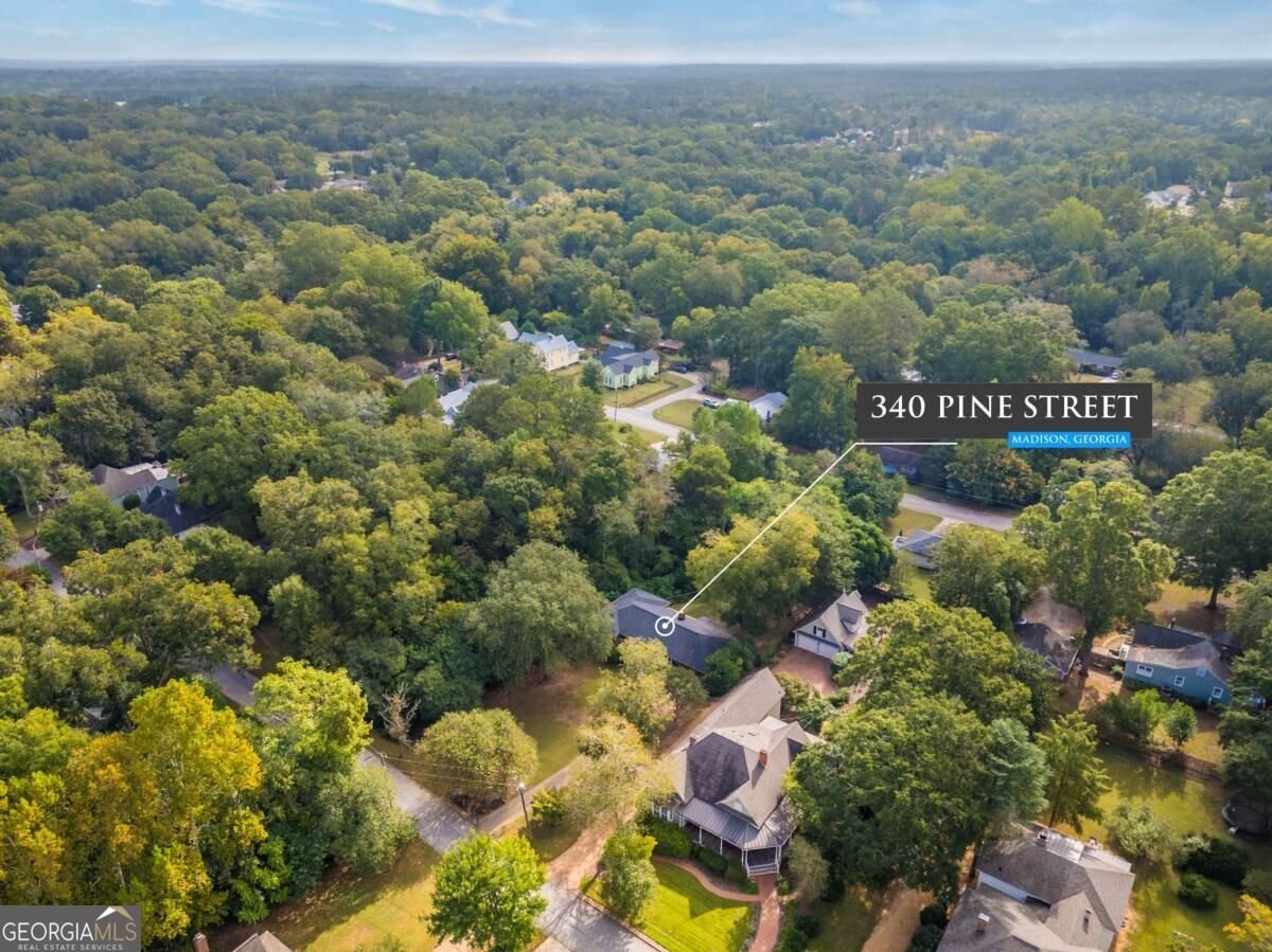 340 Pine Street Madison - Photo 46