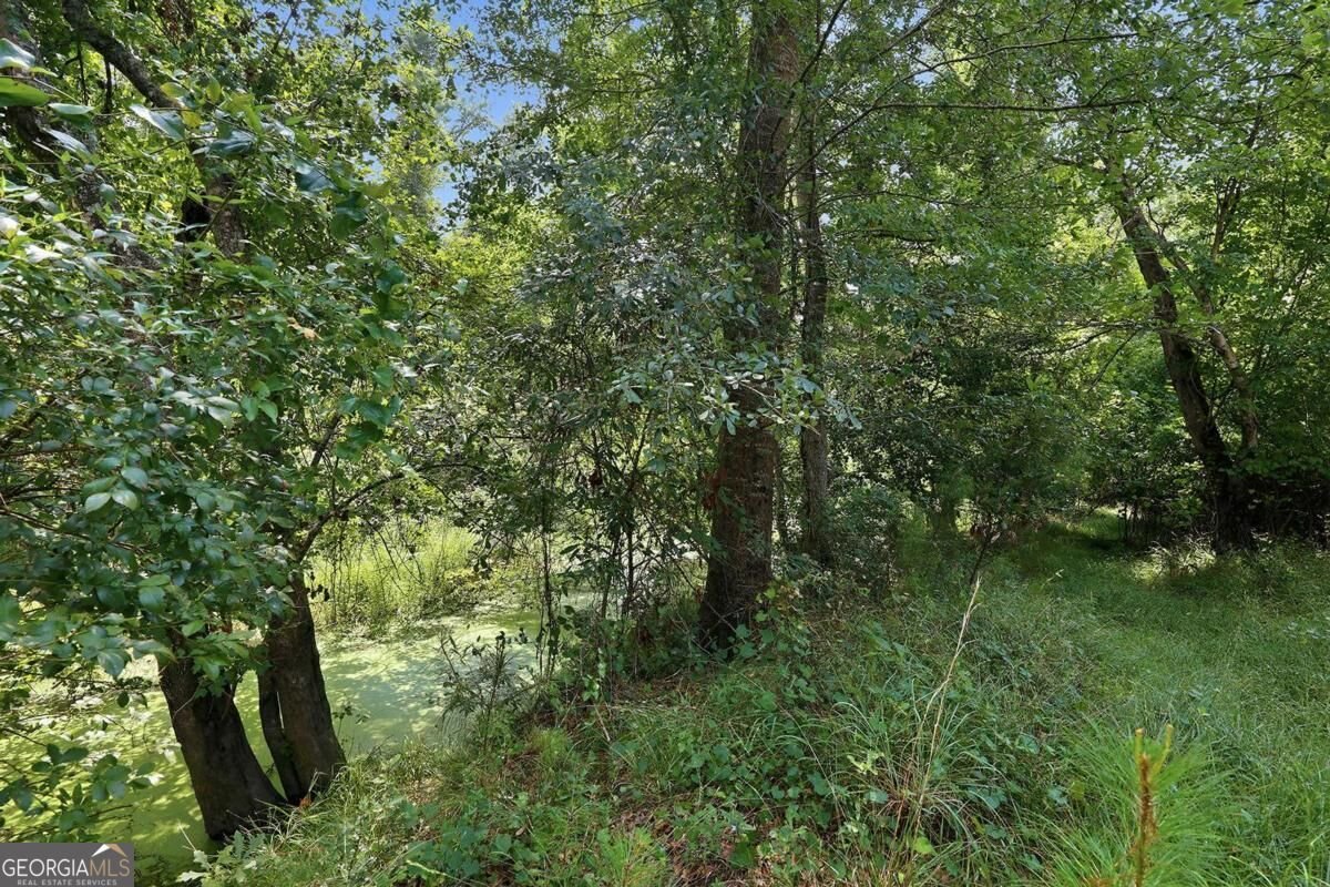 225 Frank Edwards Road Ellabell - Photo 51