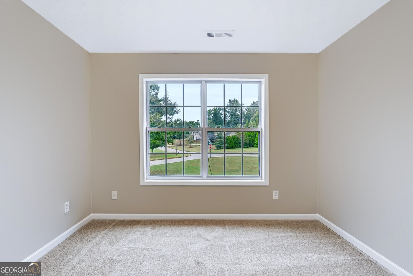 14 Willow Bend Circle Senoia - Photo 41