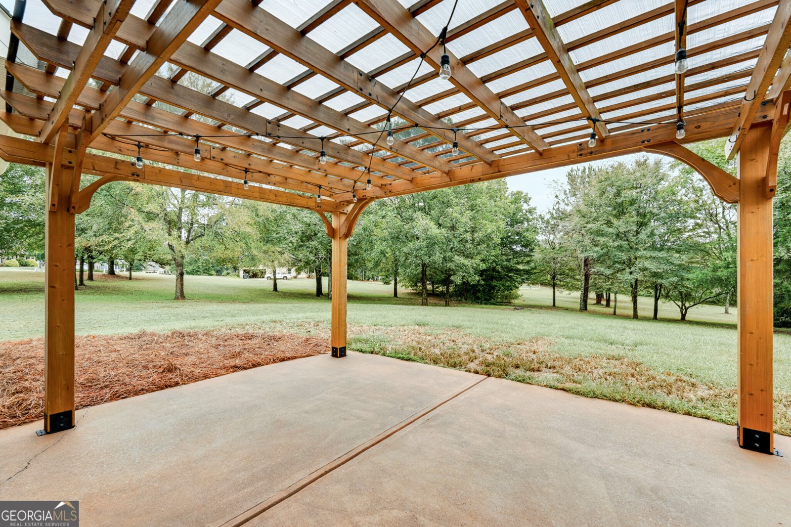 14 Willow Bend Circle Senoia - Photo 53