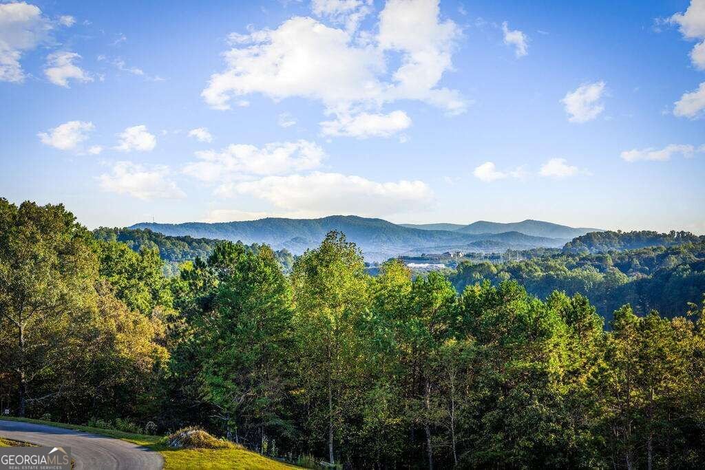 679 Cohutta Sunset Drive Blue Ridge - Photo 61