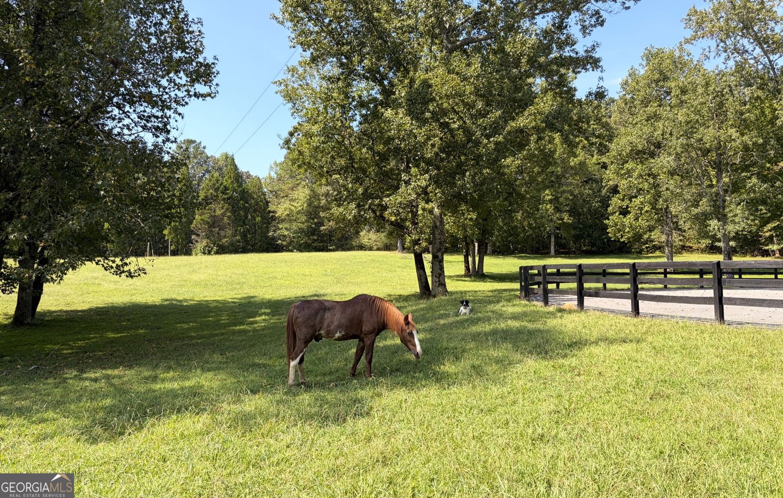 77 Shellhorse Road Ranger - Photo 71
