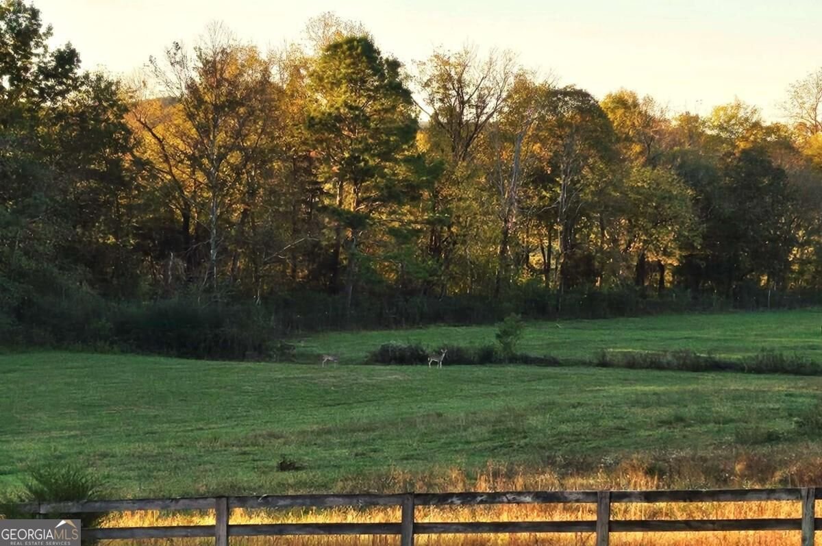 316 Beavers Road Summerville - Photo 13