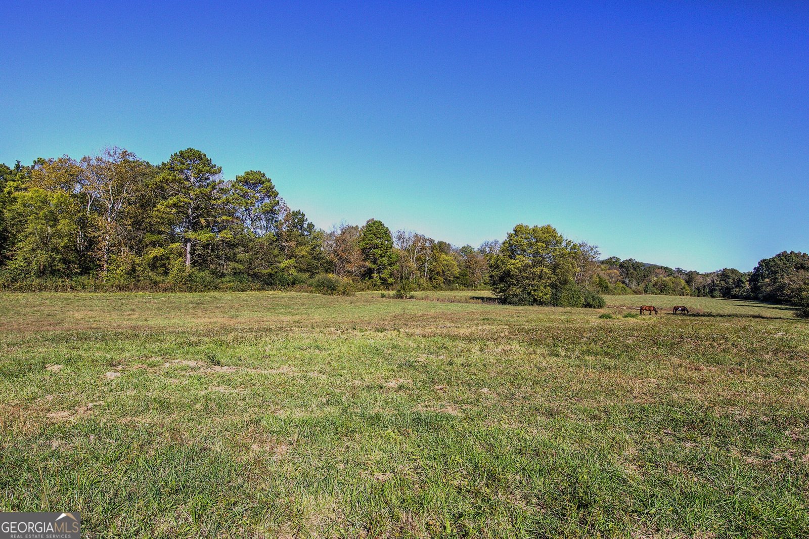 316 Beavers Road Summerville - Photo 67