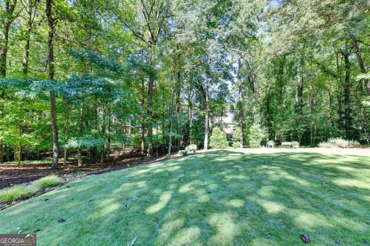 675 Peace Creek Trace Alpharetta - Photo 67