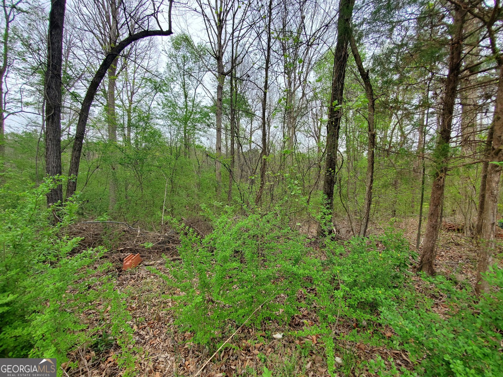 320 Brody Drive Resaca - Photo 25