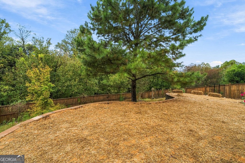 295 Floating Leaf Way Dallas - Photo 37